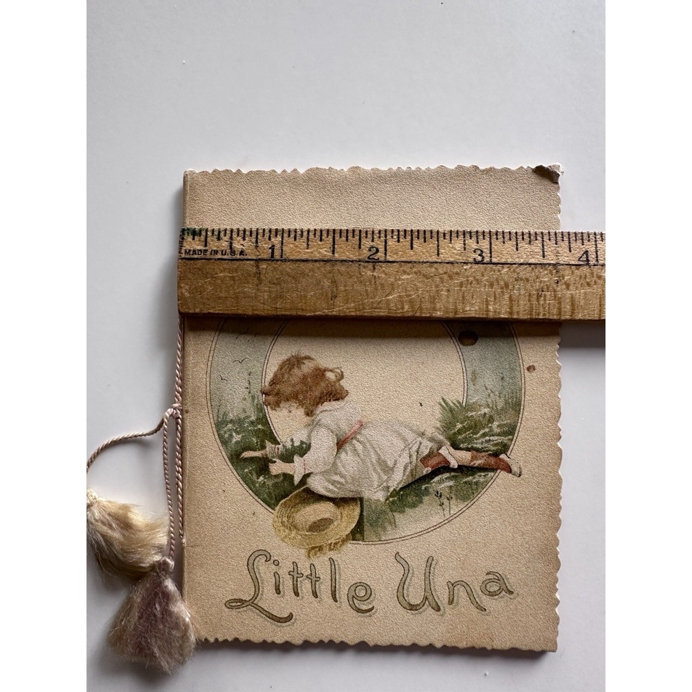LITTLE UNA Illustrated Poem Book Isa J.Postgate 1890 Art Lithographic Publishing - Picture 10 of 10